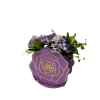 Case of 6, Rose Shaped Boxes, Various Colors W0006