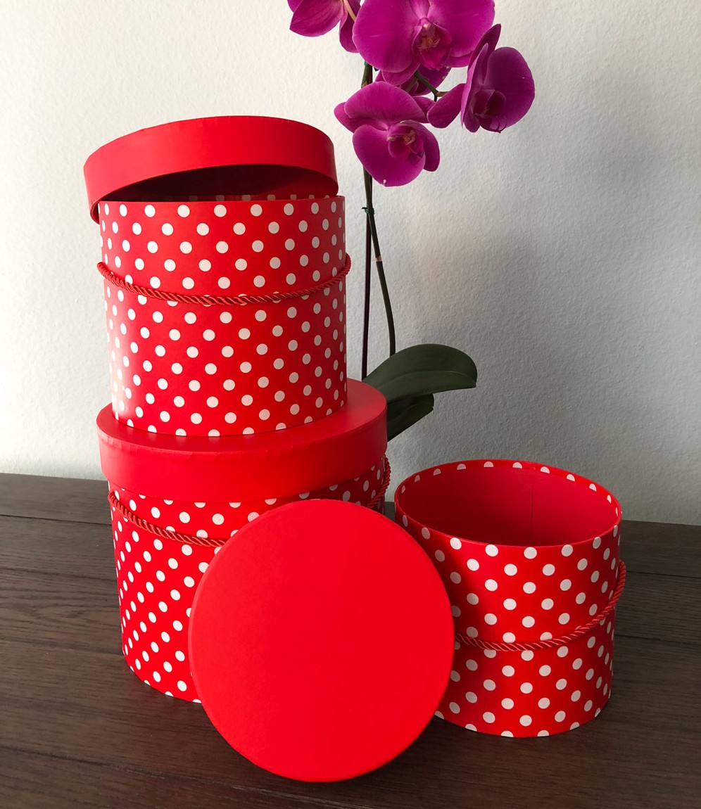 Set of 3, Round Flower/Gift Boxes with Lids, Polka Dots Design | W9399-W9400