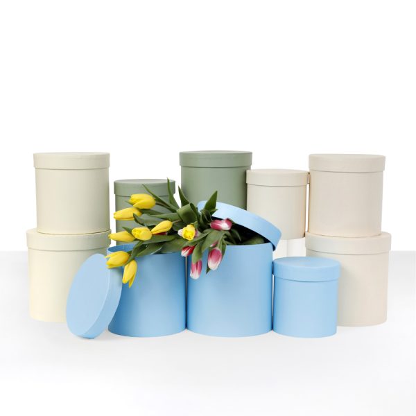 Set of 3, Round Flower/Gift Boxes with Lids, Beige/Pastel Yellow/Baby  Blue/Sage Green