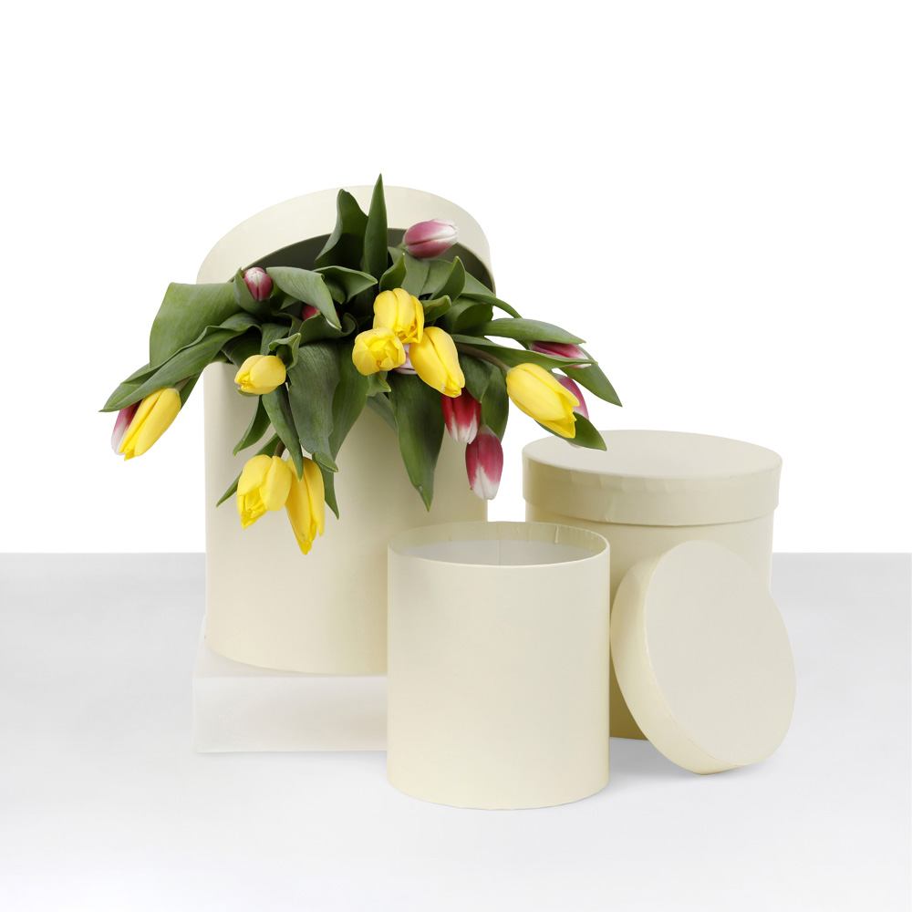 Set of 3, Round Flower/Gift Boxes with Lids, Plastic Liner, Beige/Pastel Yellow/Baby Blue/Sage Green | W730