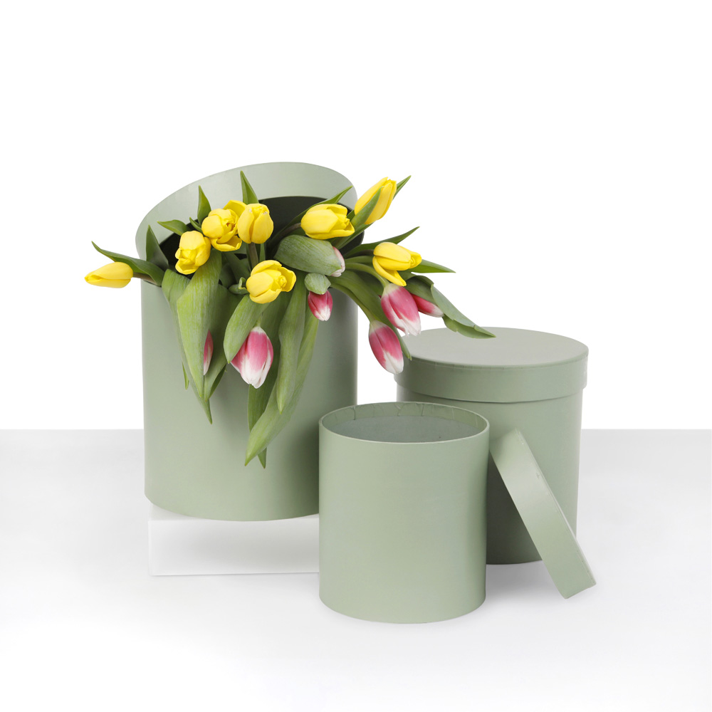 Set of 3, Round Flower/Gift Boxes with Lids, Plastic Liner, Beige/Pastel Yellow/Baby Blue/Sage Green | W730