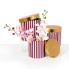 cajas-cajitas-florales-boxes-gift-for-flowers-fancy-luxury-roses-cylinder-hat-round-supplies-florist-floral-foam-flowers-burgundy-dark-red-stripes-unikpackaging-W7415 Set of 3, Round Flower/Gift Boxes with Golden Lids, Pink/Black Stripes | W7414/7412