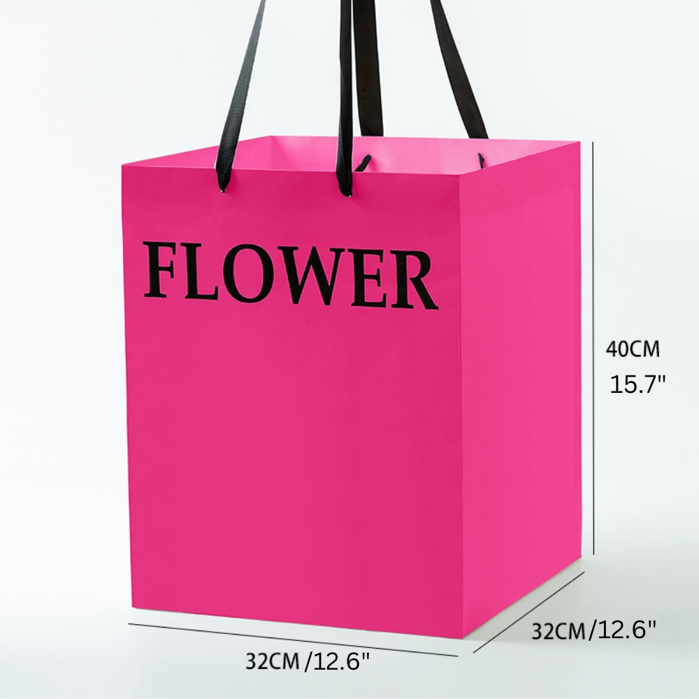 Large Gift Bags, Pack of 2