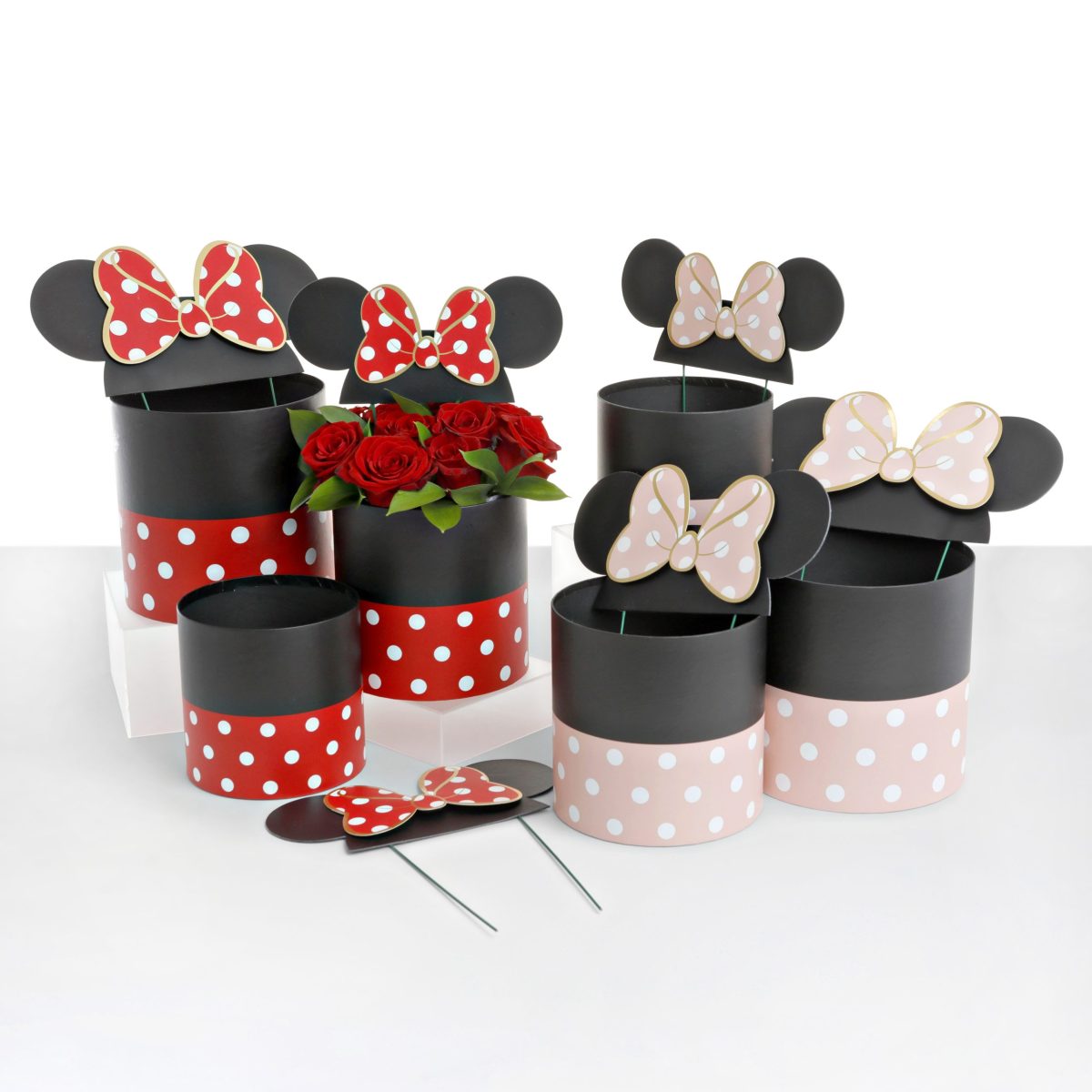 Set of 3, Minnie Mouse Inspired, Round Flower/Gift Box, Pink or Red | W756