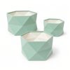 hexagon-velvet-flower-box-set-mint-open-w0130 Set of 3 Hexagon Velvet Flower Gift Boxes, 11.8″ Geometric Open Boxes | W012