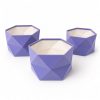 hexagon-velvet-flower-box-set-purple-open-w0129 Set of 3 Hexagon Velvet Flower Gift Boxes, 11.8″ Geometric Open Boxes | W012