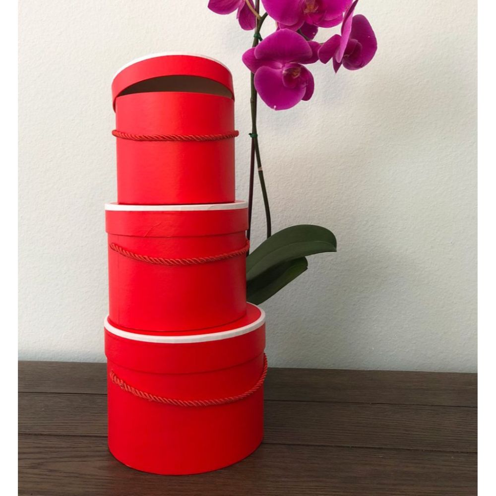 Set of 3 - Round Flower Box, Various Colors W708