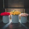 Set of 3, Large Round Flower/Gift Boxes with Lids, Color Stripes Design | W935