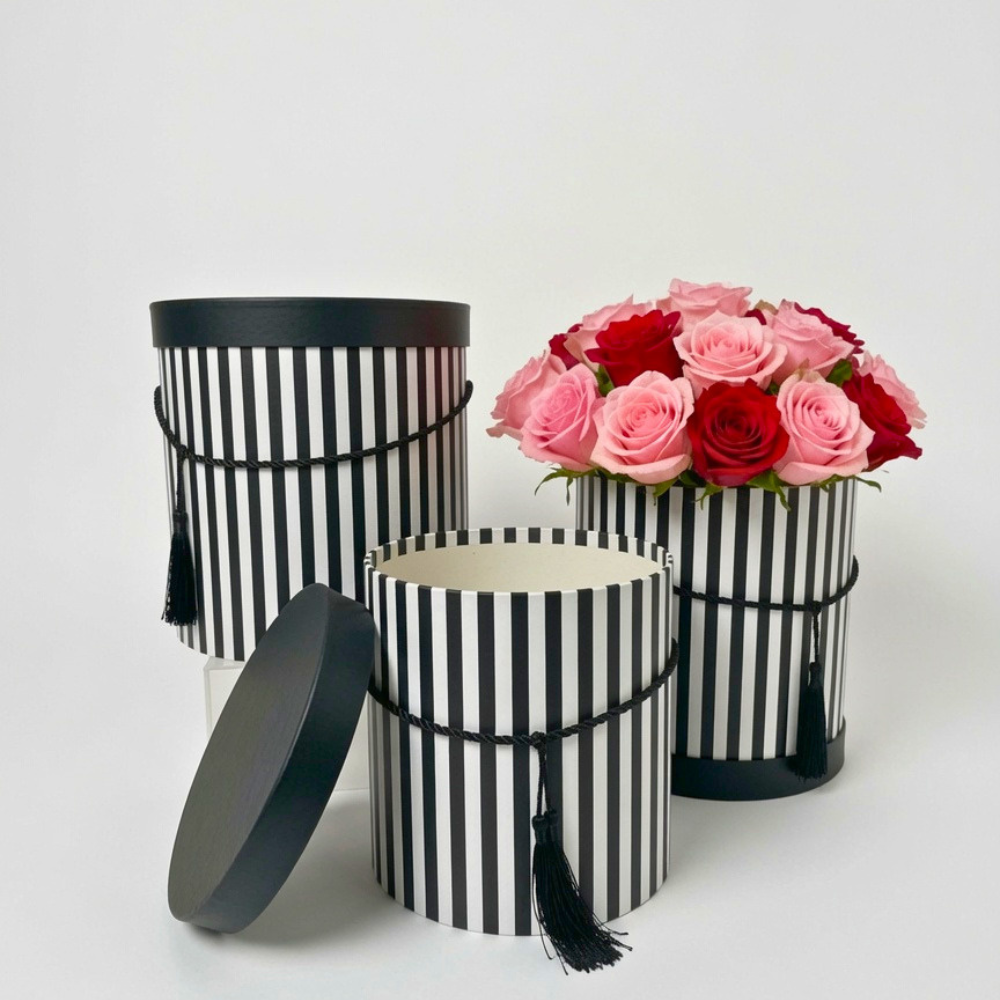 Set of 3, Large Round Flower/Gift Boxes with Lids, Color Stripes