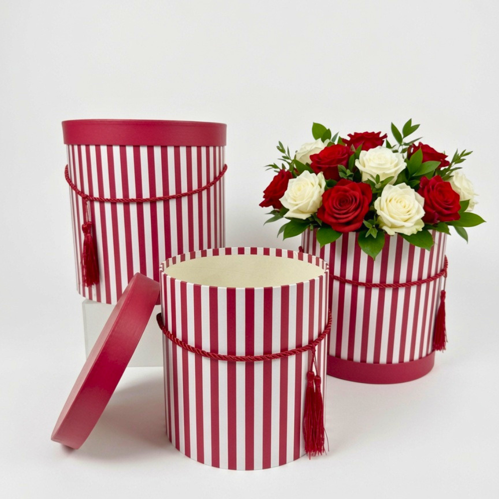 Set of 3, Large Round Flower/Gift Boxes with Lids, Color Stripes Design | W935