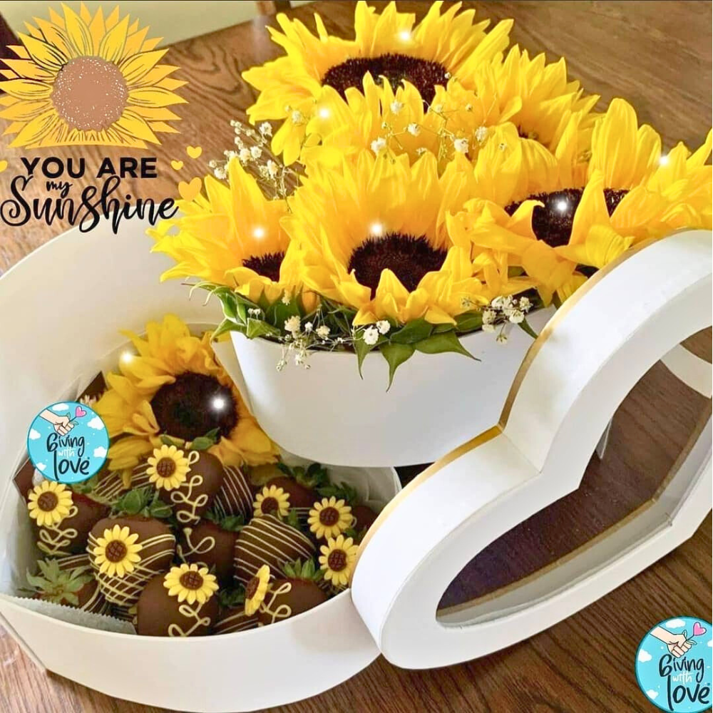 Double Layered Heart Shaped Flower/Gift Boxes with Plastic Liner - Size 9"x 8"x 6.5", Various Colors