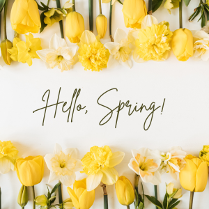 Hello, Spring