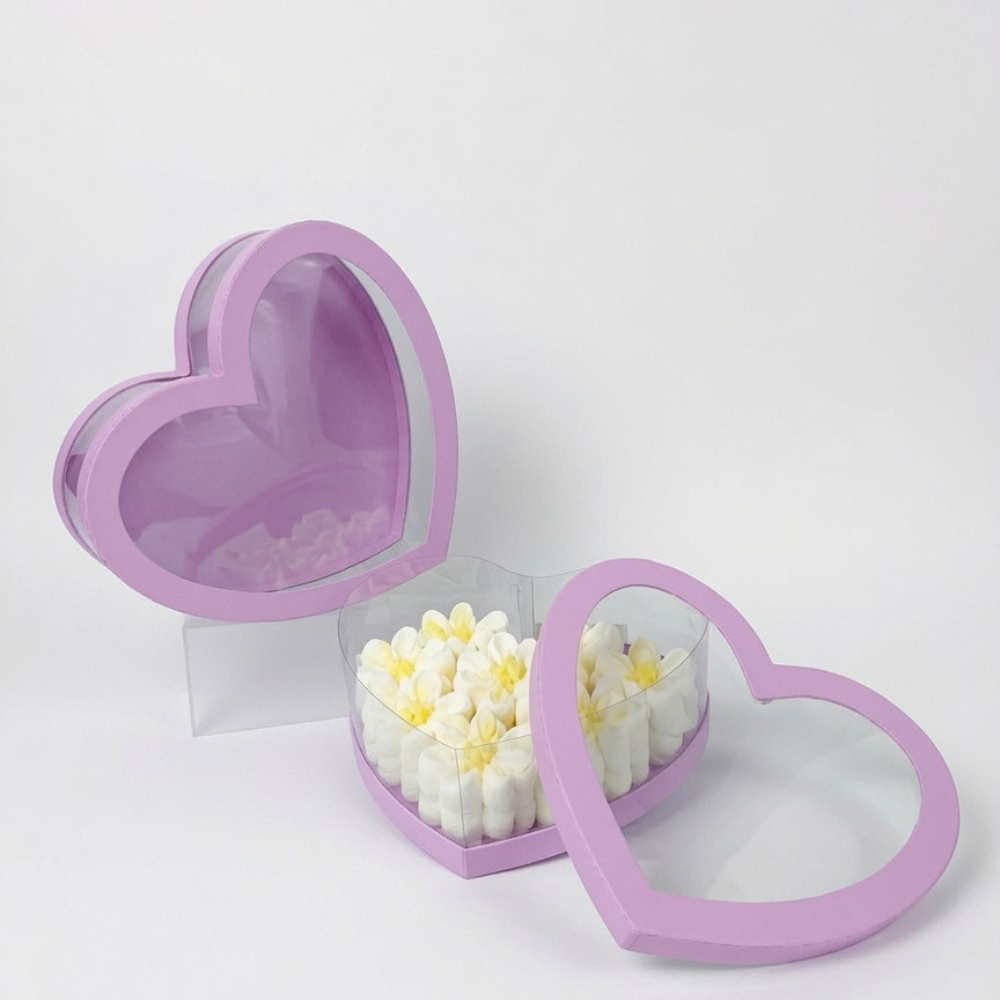 Set of 2 Heart Shaped Boxes with Clear Walls, Various Colors | W167
