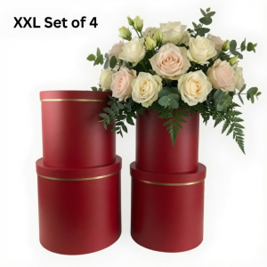 XXL Size Boxes - Set of 4, Red with Golden Rim | W9321R